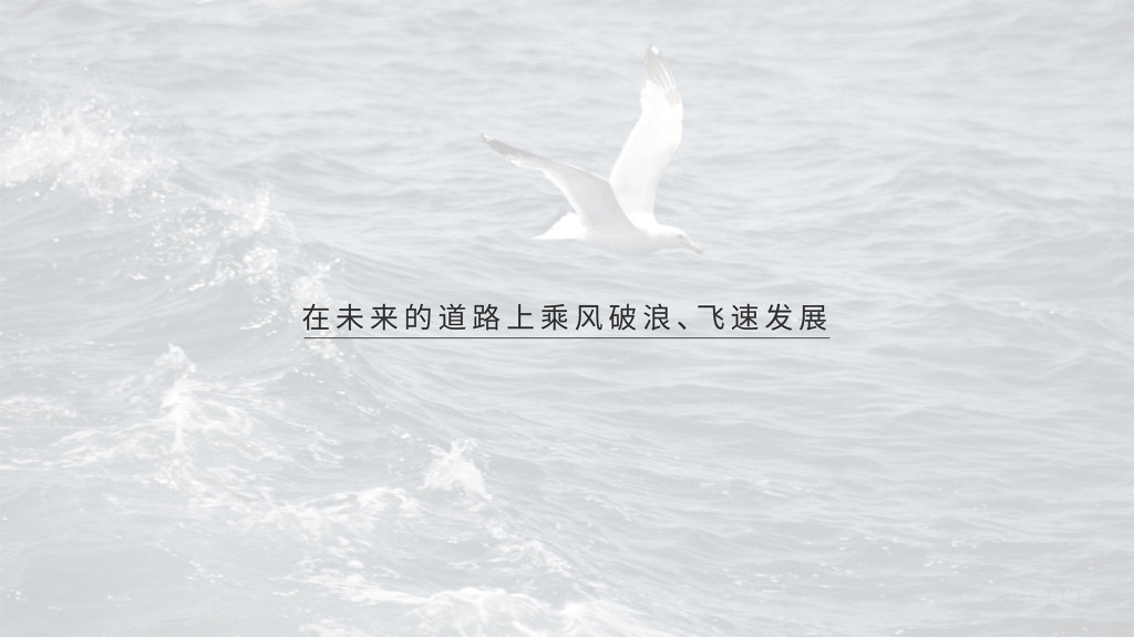 海运物流公司logo设计vi设计,深圳vi设计公司尚青创意